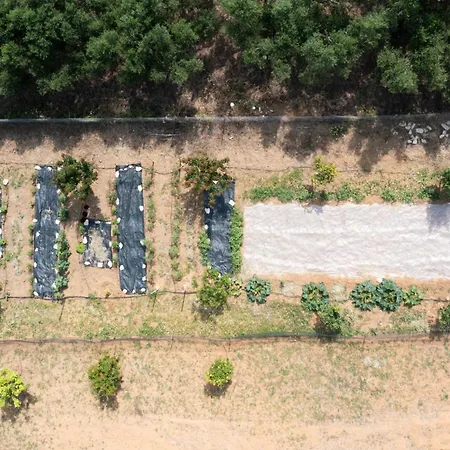 Villa Modone In Peloponnese